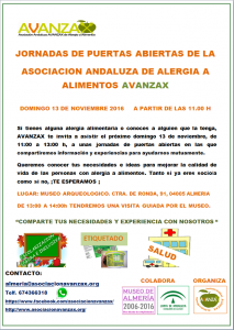cartel-jornada-puertas-abiertas-avanzax-almeria-13-11-16